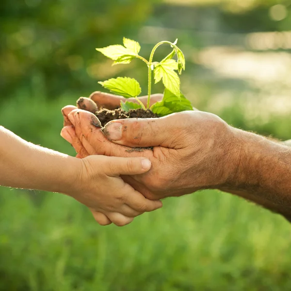 Educación ambiental intergeneracional